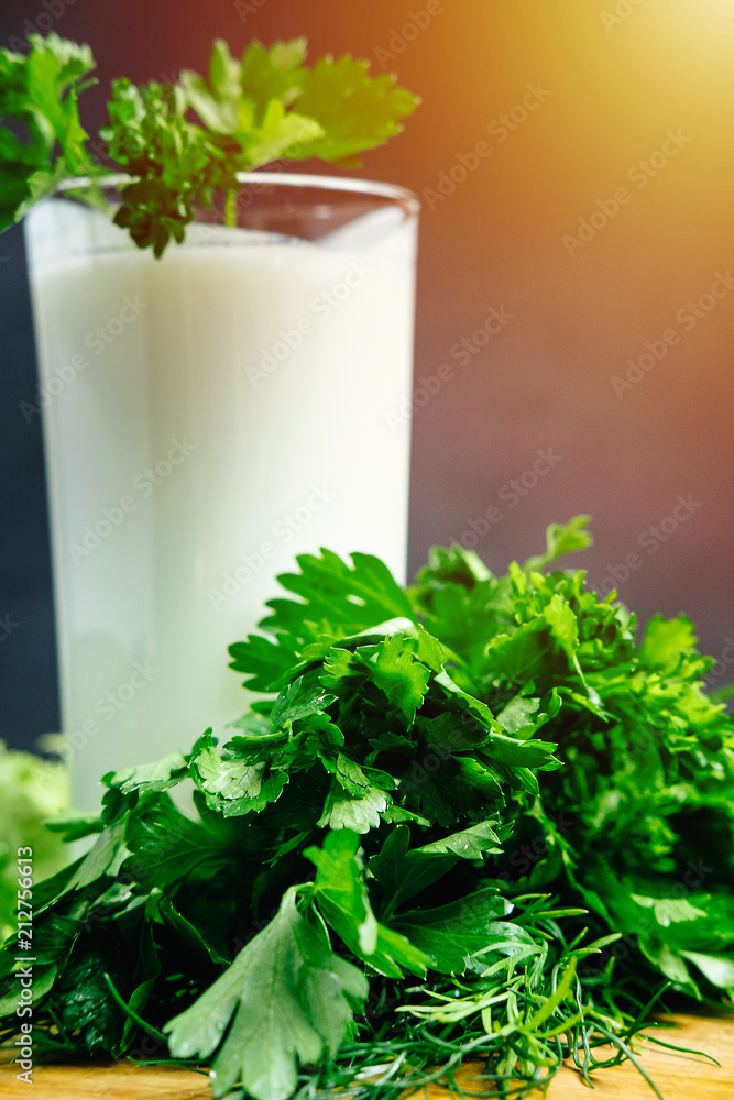 Fresh plain homemade yougurt with cucumber herbs over dark background, probiotic cold fermented dairy drink. Fresh plain homemade yougurt with cucumber herbs over dark background, probiotic cold fermented dairy drink.