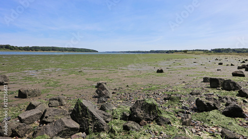 Fotografie The River Orwell Estuary