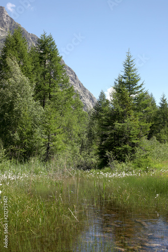 scenic view on a small quiet  pond  on italina alps photo