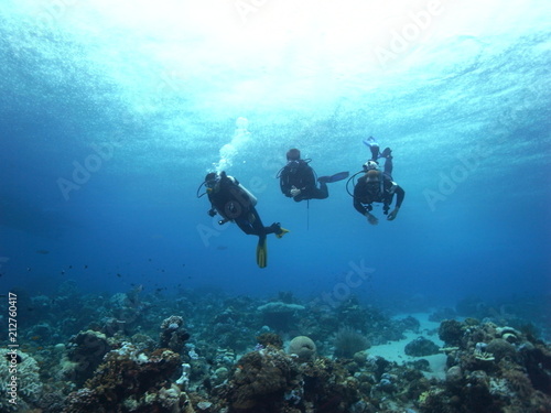 Buddy group of Scuba Diver, 3 three divers diving, in crystal clear water in Labuanbajo, Flores, Indonesia