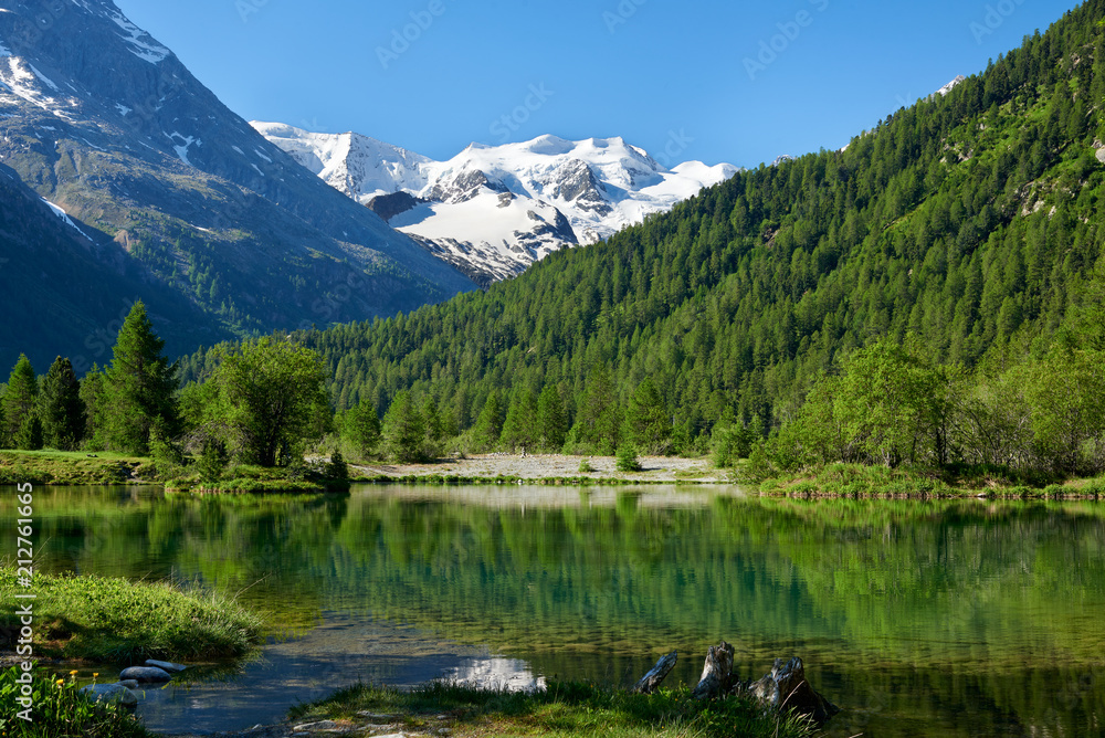 Blick auf schneebedeckte Bellavista, vergletscherter Höhenzug, im Vordergrund kleiner Bergsee und Wald mit Lerchen, wolkenloser Himmel Blick auf schneebedeckte Bellavista, vergletscherter Höhenzug, im Vordergrund kleiner Bergsee und Wald mit Lerchen, wolkenloser Himmel