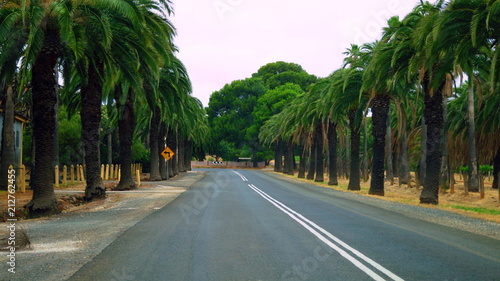 Road in Barossa Valley, South Australia © Mariangela