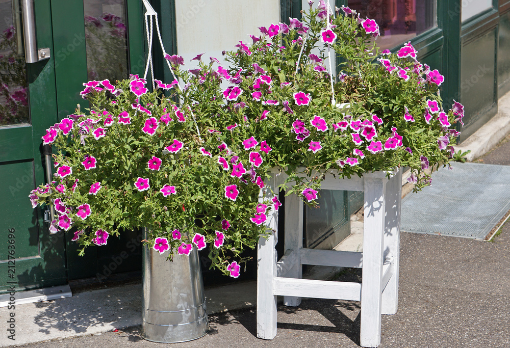 Purple flowers outdoor on a stool