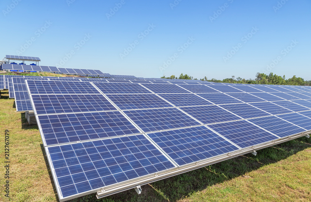 Close up rows array of polycrystalline silicon solar cells or photovoltaics in solar power plant turn up skyward absorb the sunlight from the sun Close up rows array of polycrystalline silicon solar cells or photovoltaics in solar power plant turn up skyward absorb the sunlight from the sun