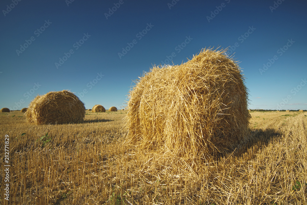 Hay bale on field with wheat straw and sky in the farm land at summer.