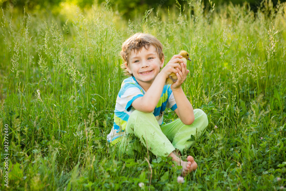 The little smiling child boy with ducklings sitting on in the summer day The little smiling child boy with ducklings sitting on in the summer day