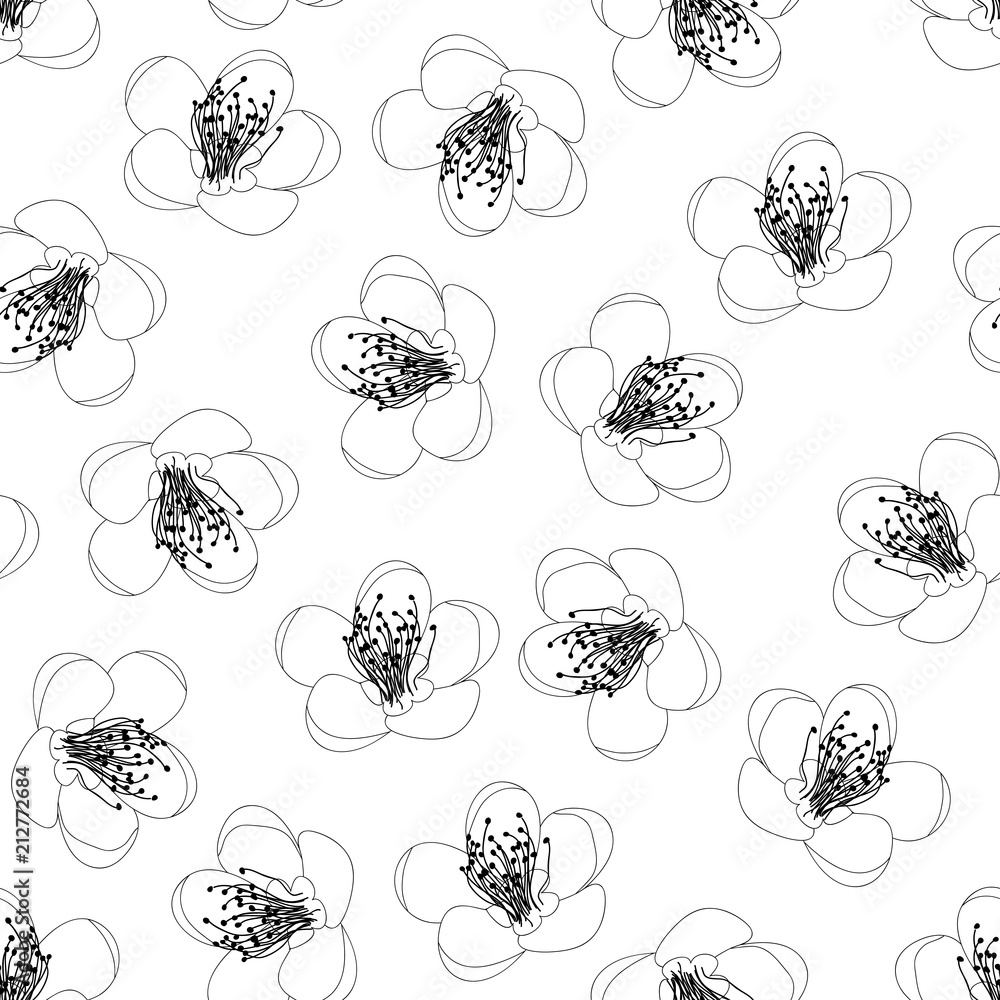Momo Peach Flower Blossom Outline on White Background Momo Peach Flower Blossom Outline on White Background