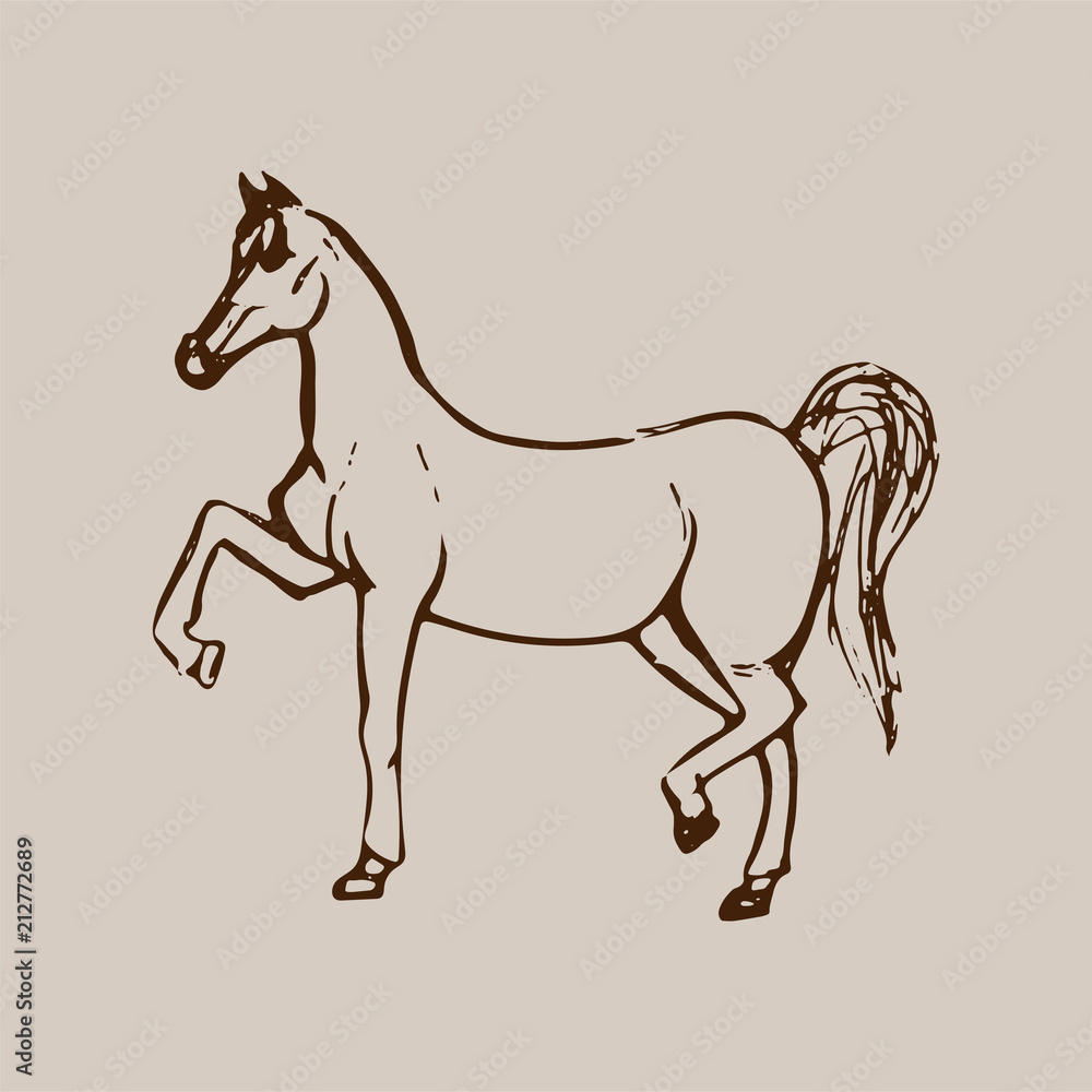 Hand drawn sketch of horse. Brown line drawing isolated on beige background. Vector animal illustration. Hand drawn sketch of horse. Brown line drawing isolated on beige background. Vector animal illustration.