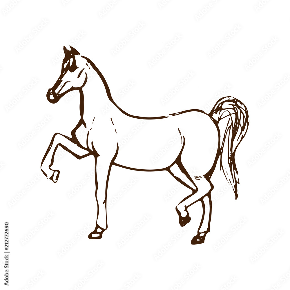 Hand drawn sketch of horse. Brown line drawing isolated on white background. Vector animal illustration.