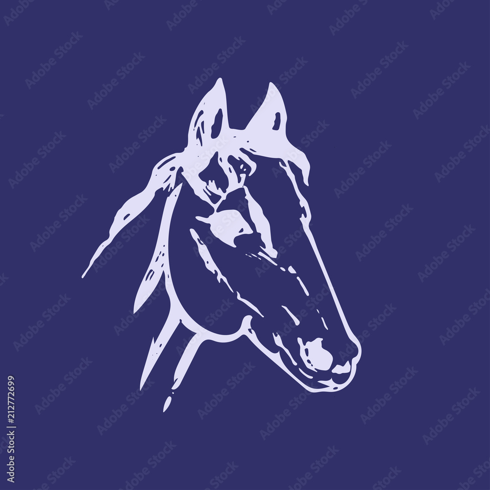 custom made wallpaper toronto digitalHand drawn sketch of horse head. Lline drawing. Blue colors. Mustang portrait. Vector animal illustration.