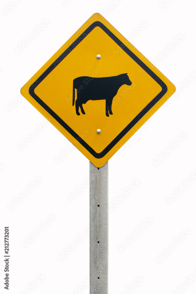 traffic signs warning cow cross road clipping path traffic signs warning cow cross road clipping path