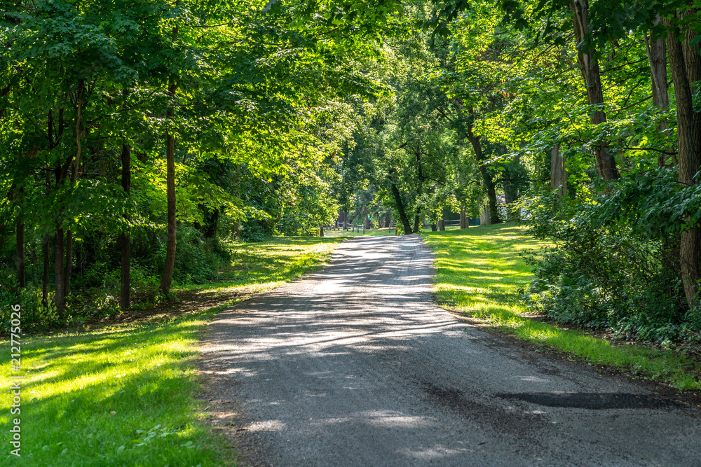 Fototapeta premium landscapes