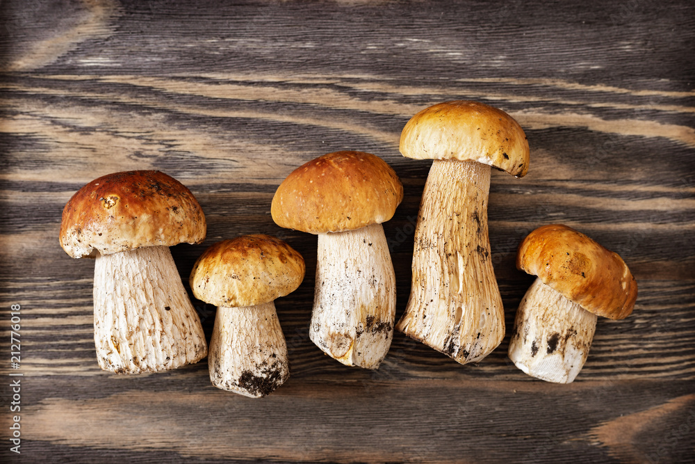 Boletus edulis mushrooms on old wooden background.  Dark food photography. Copy space. Top view.