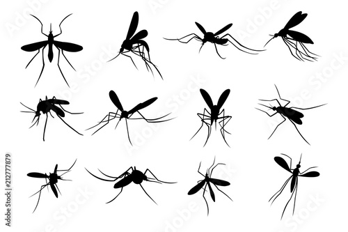 Set of Mosquito Silhouette Logo Template Design Vector, Emblem, Design Concept, Creative Symbol, Icon © marfuah