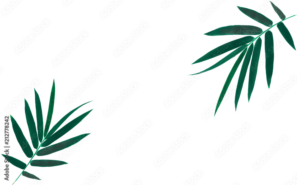 bamboo leaves isolated on white background ,bamboo leaf bamboo leaves isolated on white background ,bamboo leaf