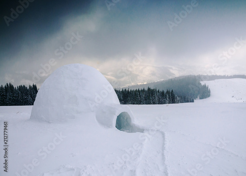snow shelter (igloo) © Volodymyr Shevchuk
