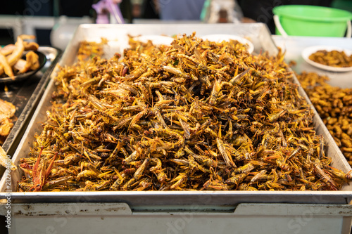 Fried insects street food of asian. Bamboo worm, grasshopper