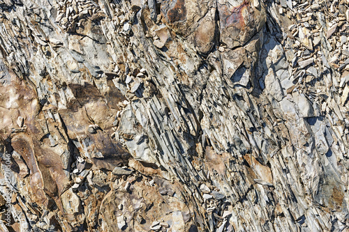 Natural texture of the rock. Background.