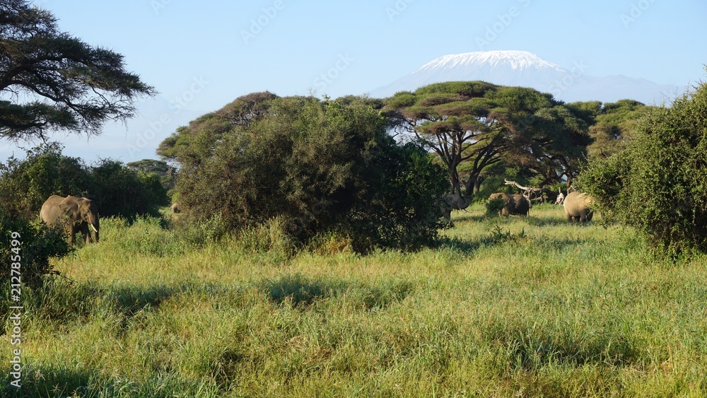 kilimanjaro and kenyan landscape kilimanjaro and kenyan landscape