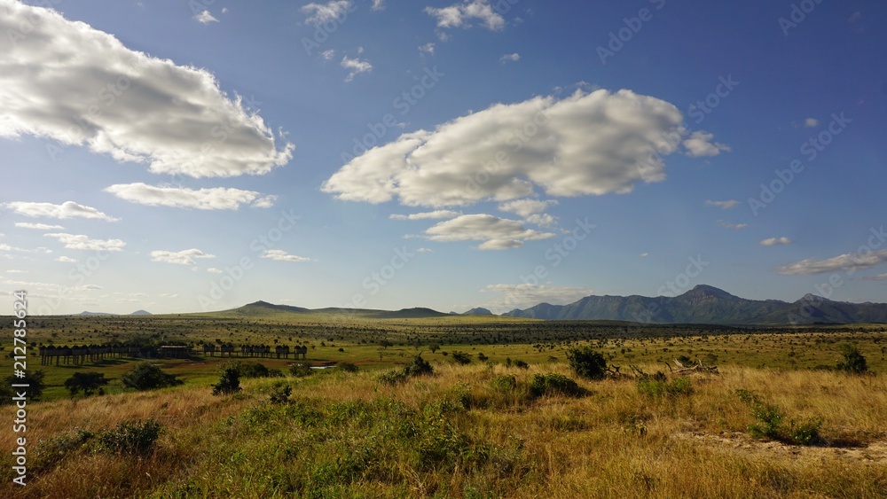 natural green landscape in kenya natural green landscape in kenya