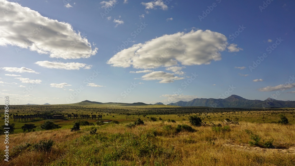 natural green landscape in kenya