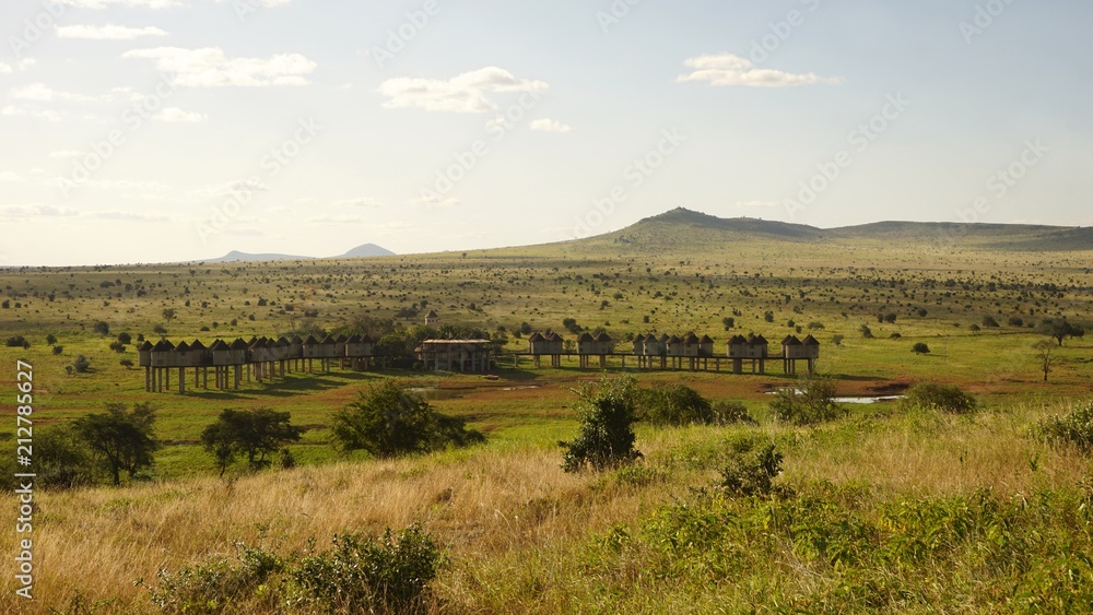 natural green landscape in kenya natural green landscape in kenya