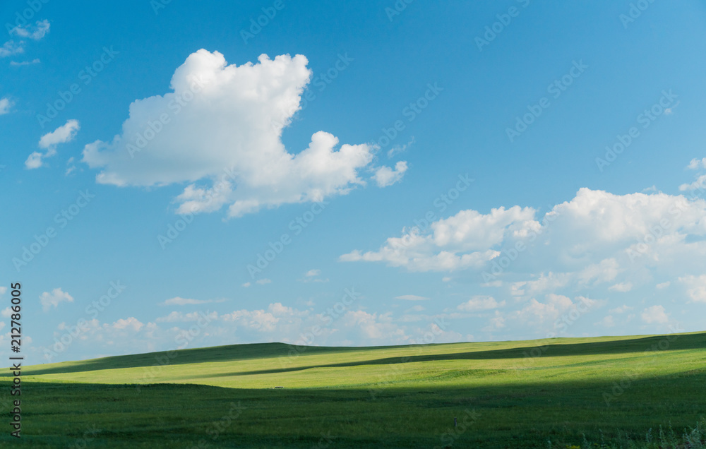 Landscape Landscape