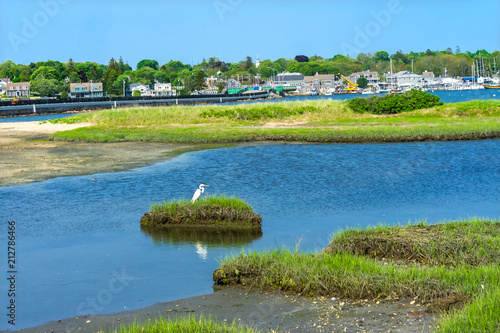 Great White Egret New Padnaram Bridge Harbor Village Dartmouth Massachusetts photo