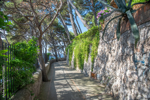 Via Krupp am Giardin di Augusto auf Capri photo