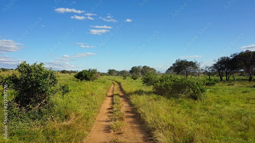 Fototapeta premium natural green landscape in kenya
