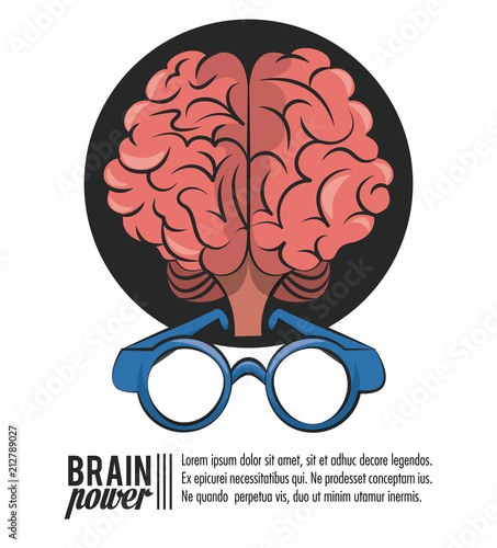 Brain power head silhouette and books vector illustration graphic design