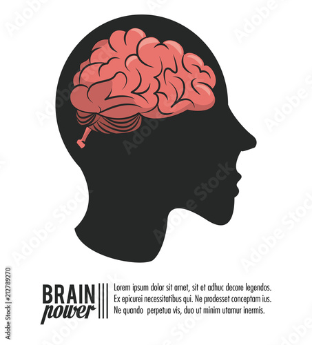 Brain power head silhouette and books vector illustration graphic design