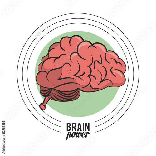 Brain power cartoon isolated vector illustration graphic design