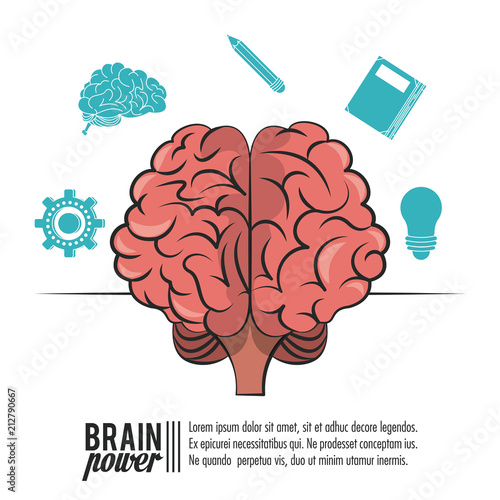Brain power poster template with information vector illustration graphic design