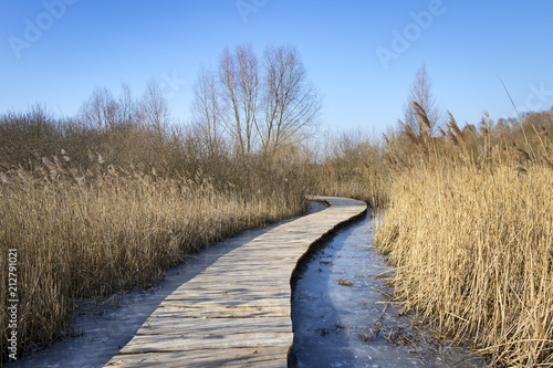 Cold winter day, wooden path in the Uckermark photo