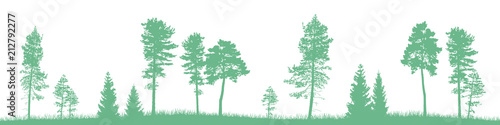 Seamless vector landscape with green coniferous trees and grass.