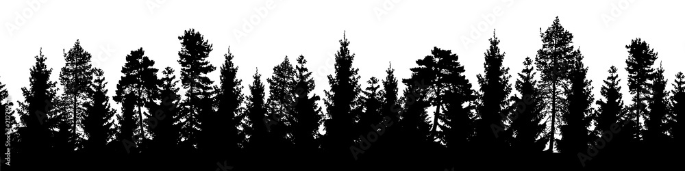 Seamless forest vector landscape with coniferous trees in black and white.