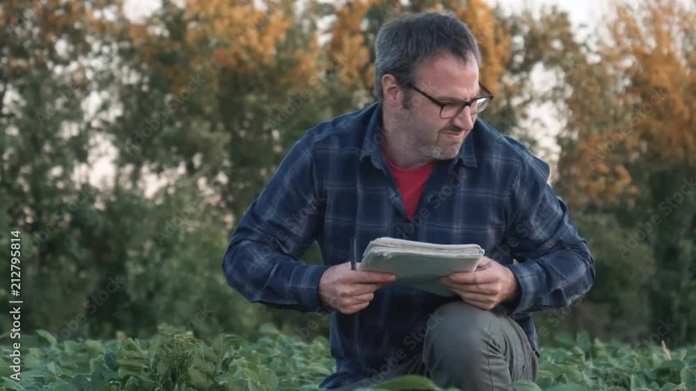 Farmer with a notebook looking at his harvest and taking notes. Worker checking his plants in the field. Farmer with a notebook looking at his harvest and taking notes. Worker checking his plants in the field.