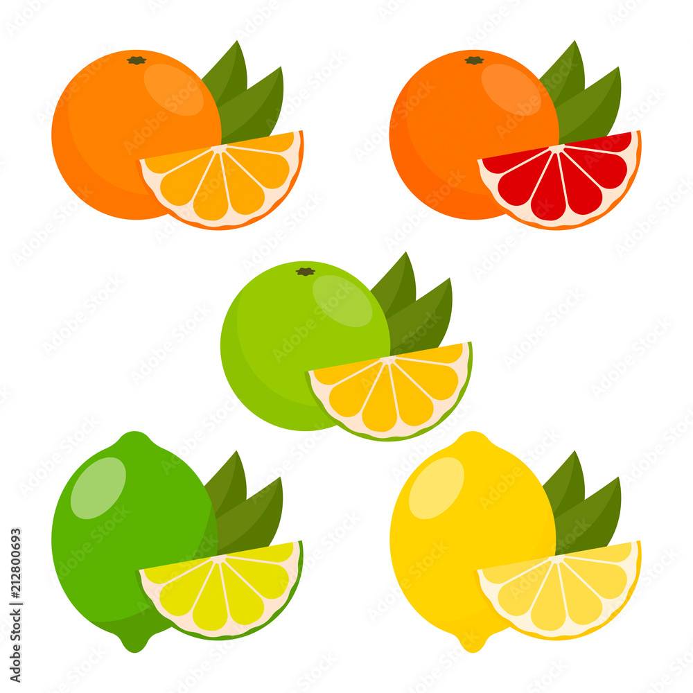 Obraz premium icon set with vector citrus.