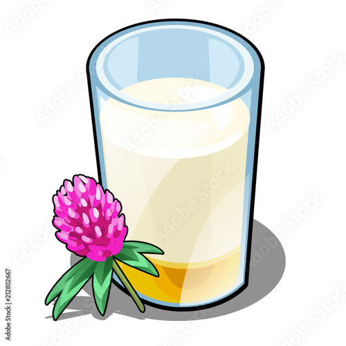 A glass of milk and honey made from clover isolated on white background. Delicious and healthy food. Vector cartoon close-up illustration.