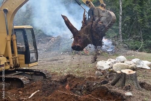 Excavator holding up tree stump photo