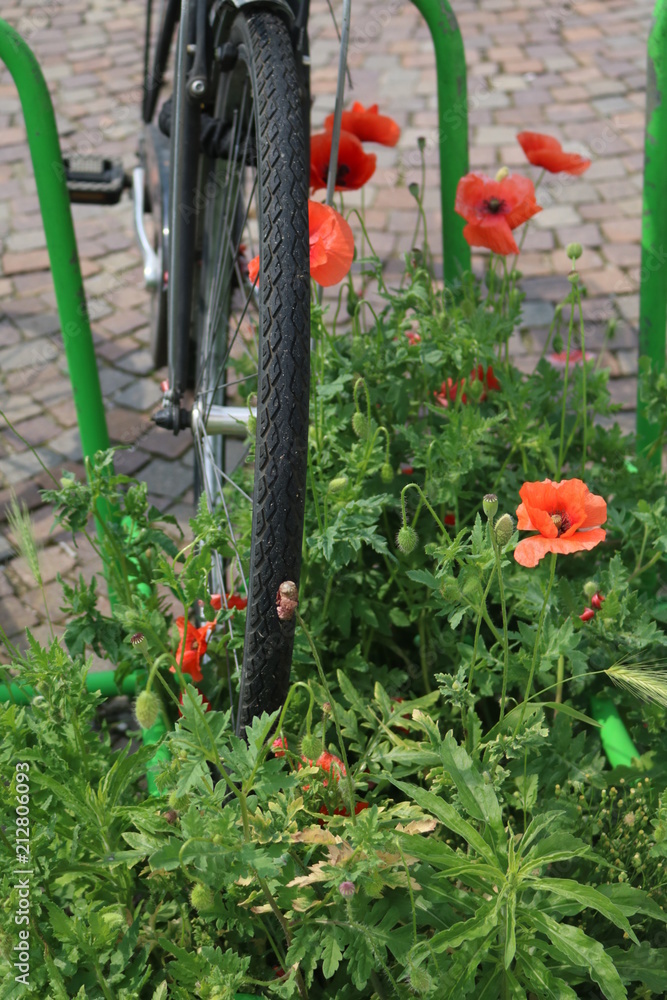 Bike Parking Arcore Italy Stock Photo Adobe Stock