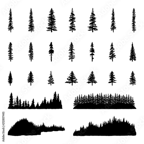 Tree Silhouettes