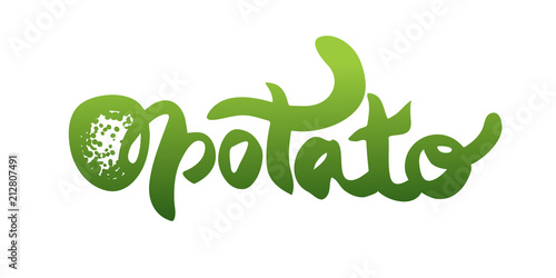 Potato calligraphy logo. Handwritten lettering