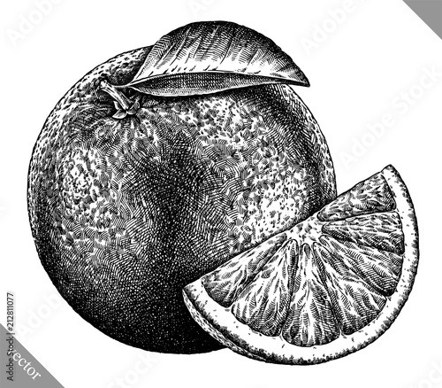 Engrave isolated orange hand drawn graphic vector illustration