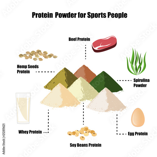 Protein powder infographic set