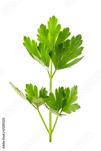 Naklejka Parsley isolated on white