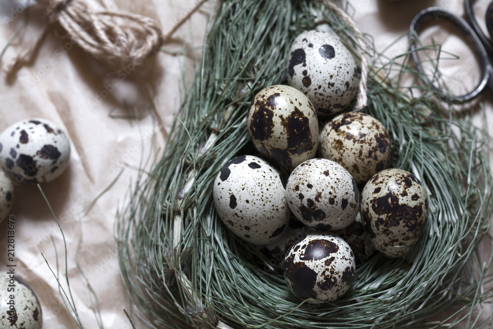 Top view of quail eggs in a nest. Top view of quail eggs in a nest.