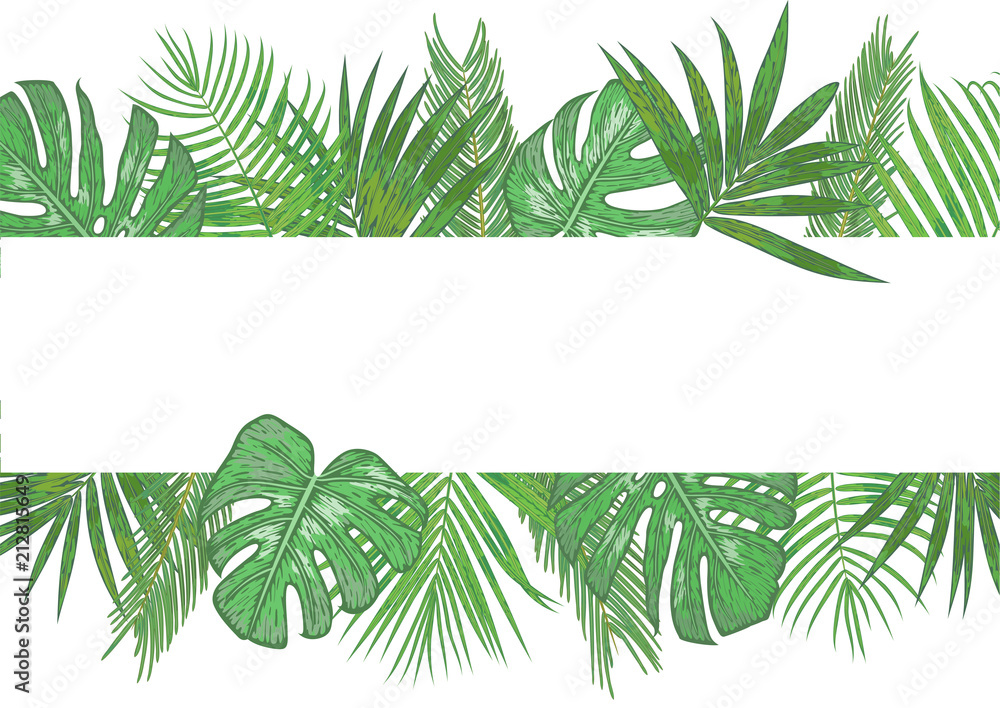Vector tropical banner, frame, wedding invitation, label, postcard. Green palm leaves areca, sago, monstera, kentia isolated on white background. horizontal illustration