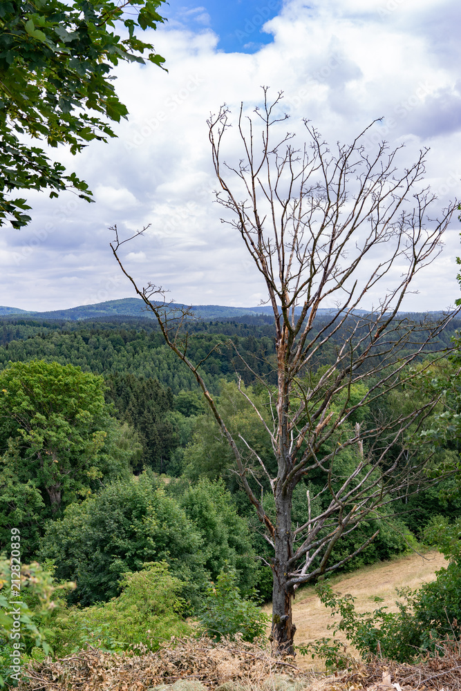 Der Nationalpark Sächsiche Schweiz bei Hinterhermsdorf Der Nationalpark Sächsiche Schweiz bei Hinterhermsdorf